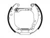 剎車(chē)蹄片 Brake Shoe Set:4241.8J