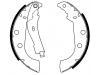 Brake Shoe:4241.G6